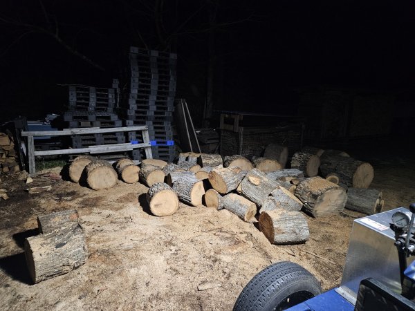 20260225_210616.jpg