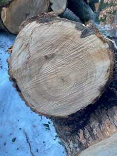 log 2.jpg