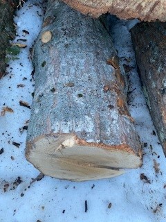 log 3.jpg