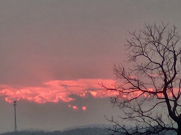20260228_175932.jpg