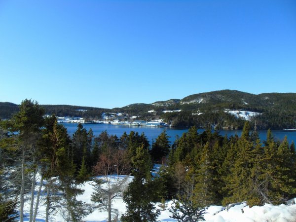 DSC00008.JPG