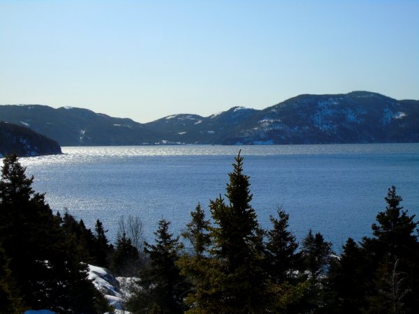 DSC00005.JPG