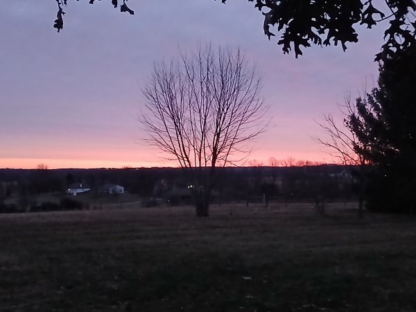 20260302_063939.jpg