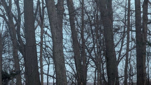 PXL_20260302_234550526.jpg