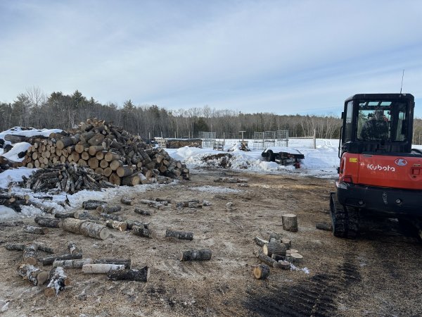 IMG_6823.jpeg