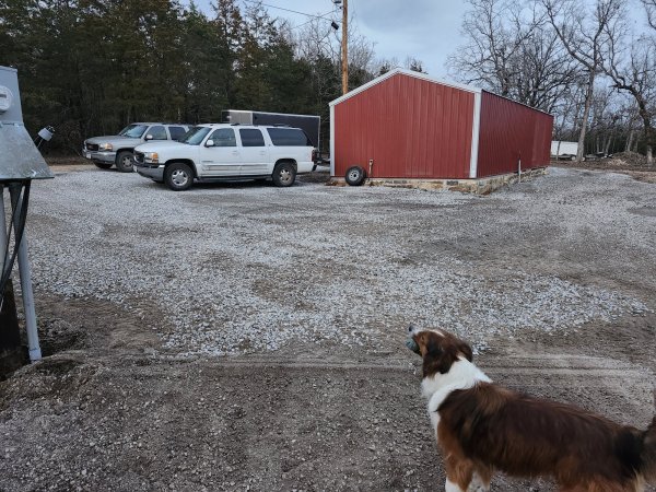 20260306_181702.jpg