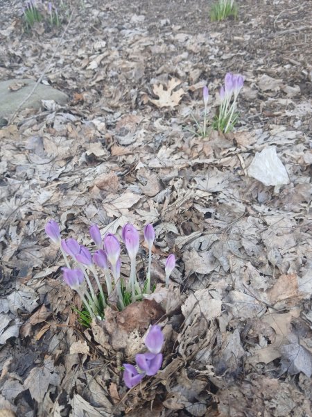 20260308_093702.jpg