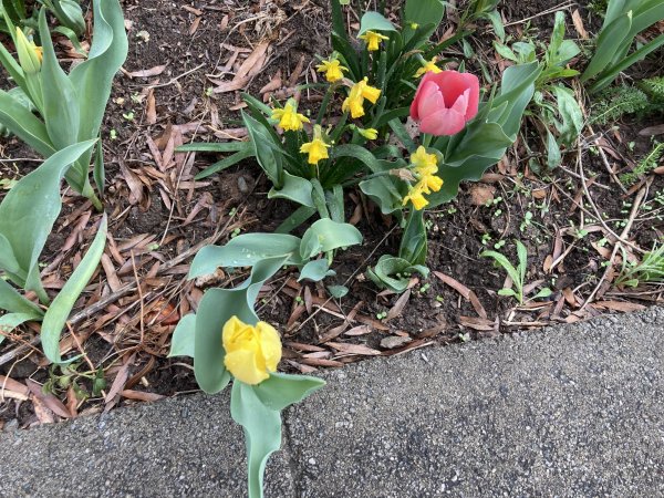 IMG_5464.jpeg