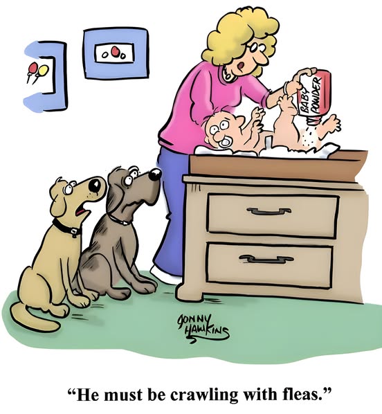 Crawling with fleas.jpg