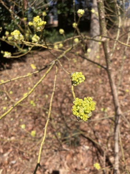 IMG_5465.jpeg