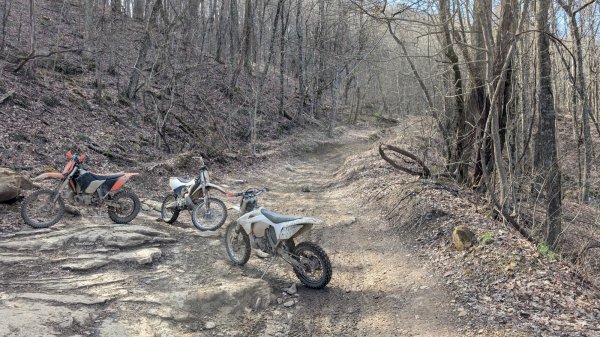 PXL_20260309_201655921.jpg