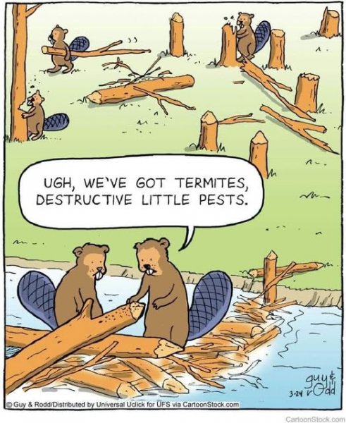 Destructive pests.jpg