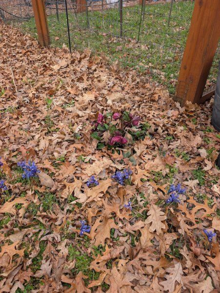 spring.jpg
