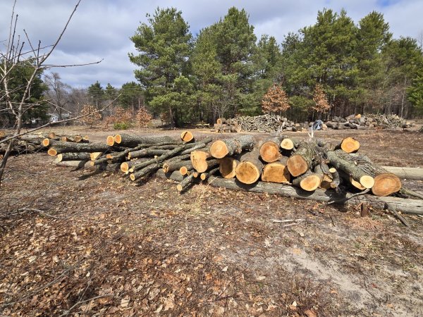 20260323_134630.jpg