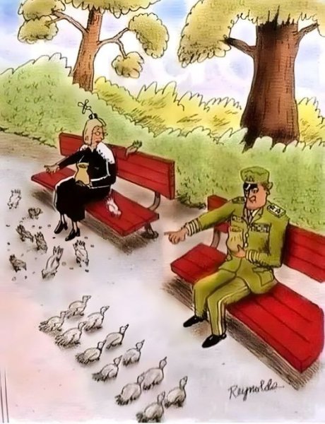 Feeding birds.jpg