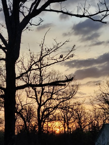 20260403_070712.jpg