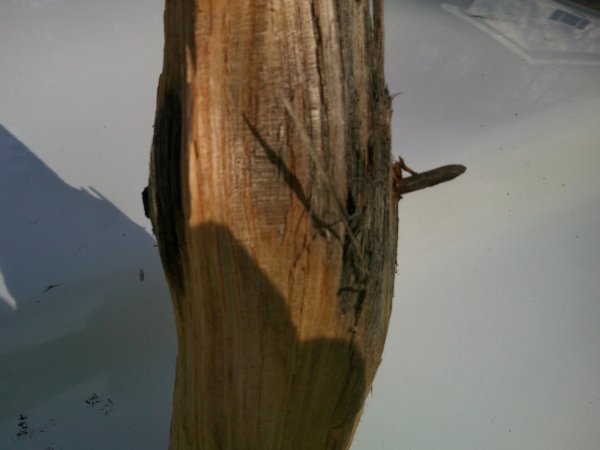 DSCF0773.JPG