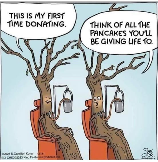 First time donating.jpg