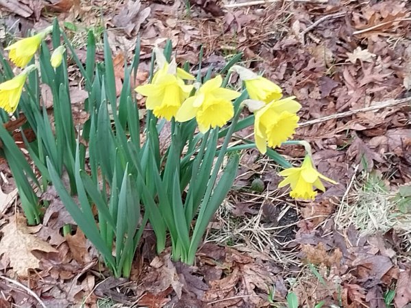 IMG_20260405_092711.jpg