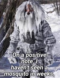 cold.jpg