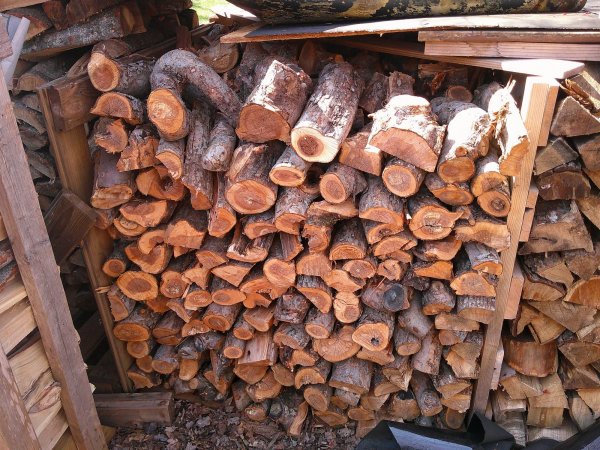 DSCF0790.JPG