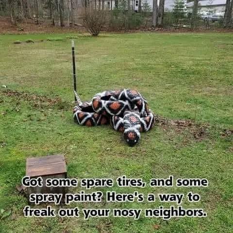 Freak out neighbors.jpg