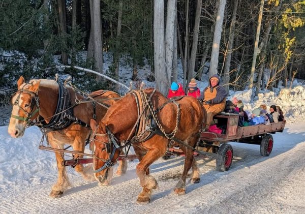 Mackinaw Island school bus.jpg