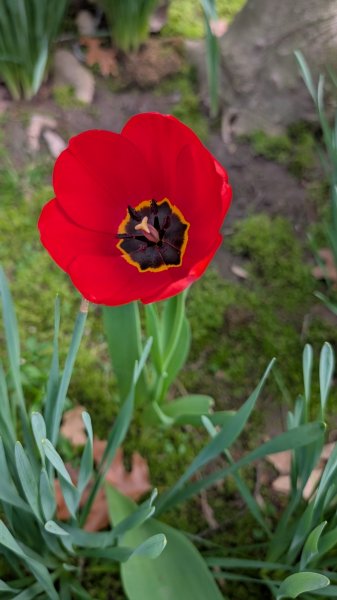 PXL_20260414_210658879.jpg