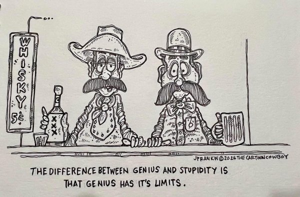 Genius vs stupid.jpg