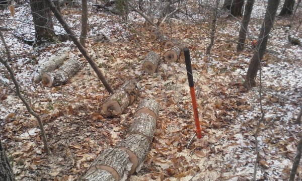 20201119_102543.jpg