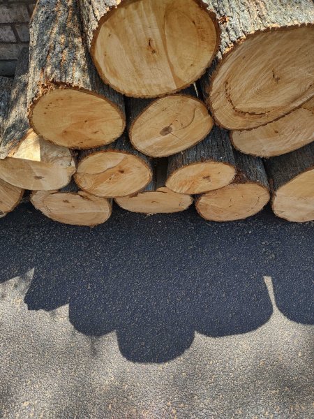 IMG_20260421_125232666_HDR.jpg