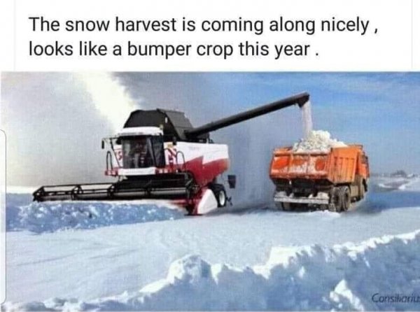 Harvesting snow.jpg