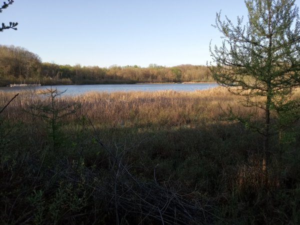 IMG_20260425_191651313.jpg
