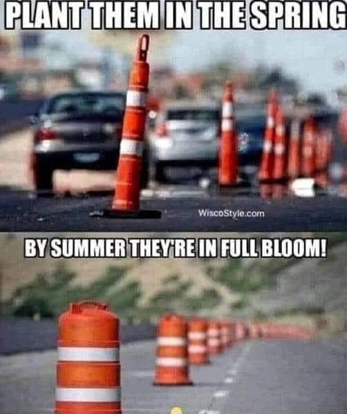 Grow in summer.jpg