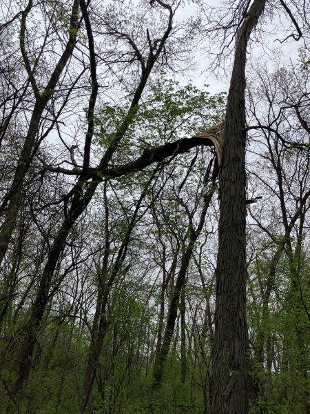 IMG_4230.jpeg