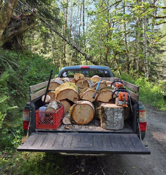 20260505_141142.jpg