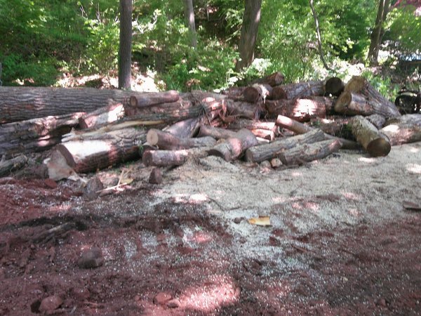 DSCF0930.JPG