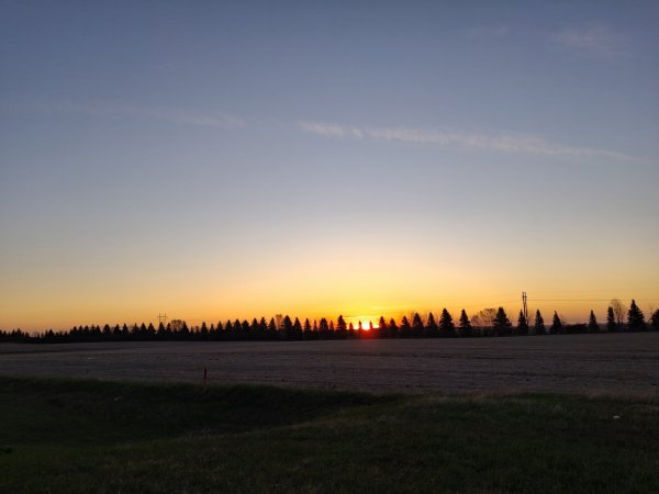20260513_060316.jpg