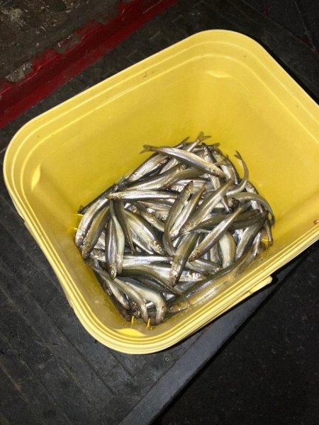 IMG_1913.jpeg
