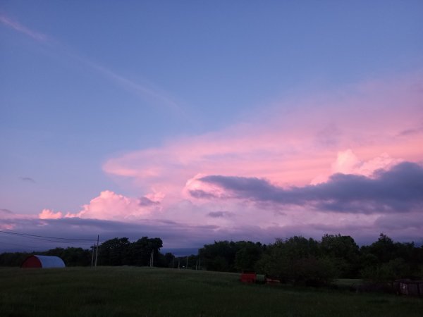 IMG_20260523_205157733.jpg