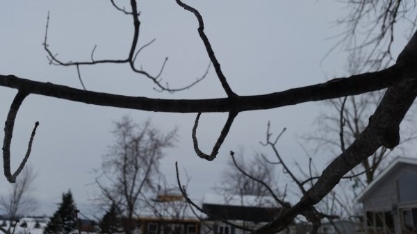 20150204_160304.jpg