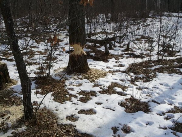 2015-02-07 12.10.52.jpg