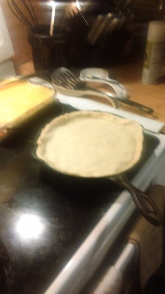 IMAG0377.jpg