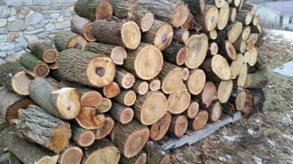 20150208_172345.jpg