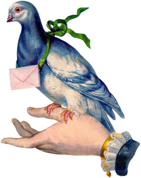 image.jpg