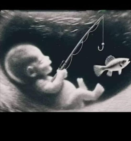 In womb.jpg