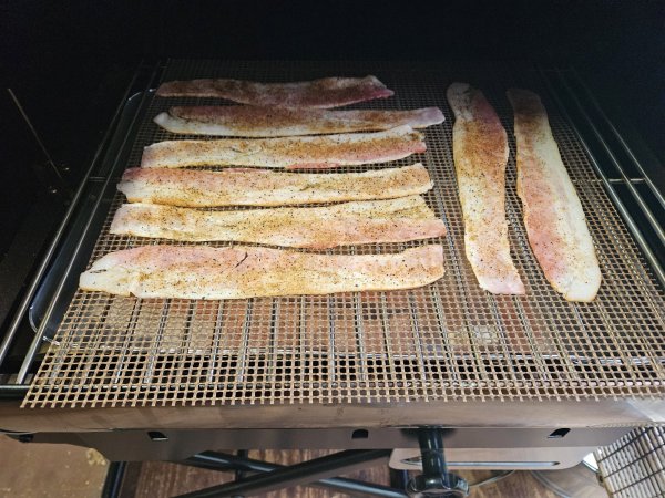 20260607_191116.jpg