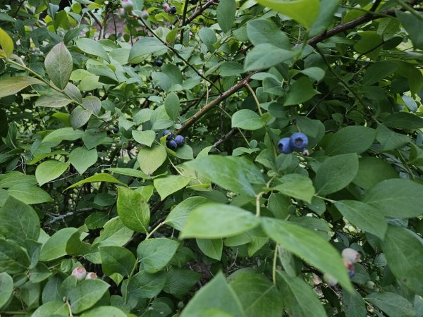 20260607_203205.jpg