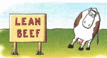 Lean beef.jpg