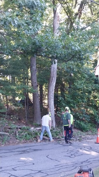 IMG_20260616_083216.jpg